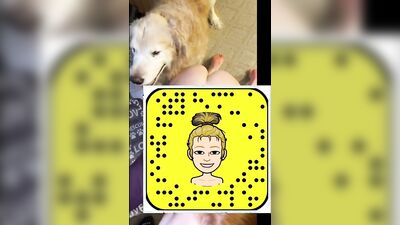 Dog porn: bestiality penis