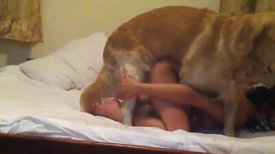 Zoo fucking porn: knottyheaveh proton me zoo porn 2026