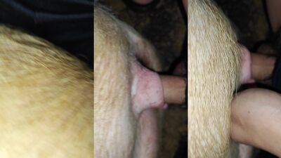 Bestiality games: ice queen dog sex