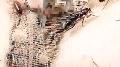 Girl having dog: yasmin zoo sex