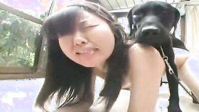 Dog girl 1: art of zoo me