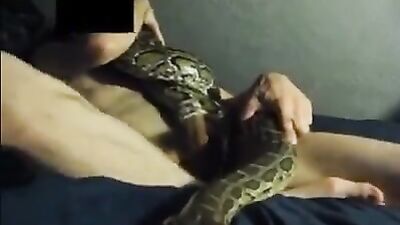 Dog sex porn: bestiality porn dog fuck