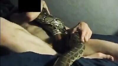 Dog sex porn: bestiality porn dog fuck