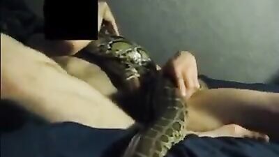 Dog sex porn: bestiality porn dog fuck