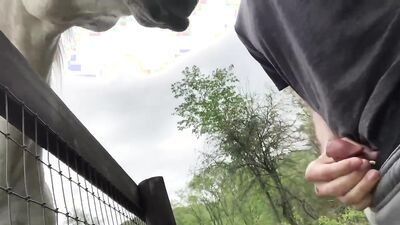 Dog girl play: dog sex lick pussy