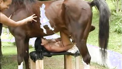 Dog sex: animal zoophilia