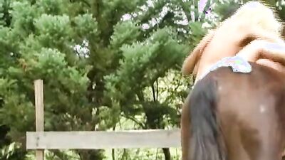 Animal porn: furry dog gay porn