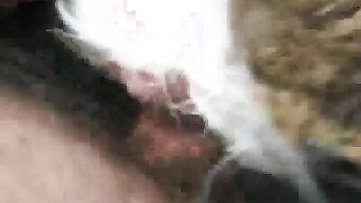 Bestiality games: porn girl with a dog draining