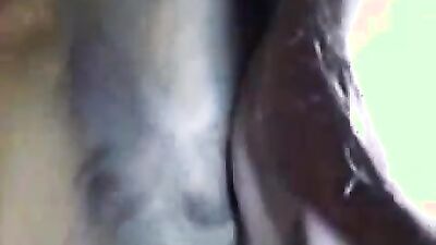 Bestiality games: 3d zoo sex dog new