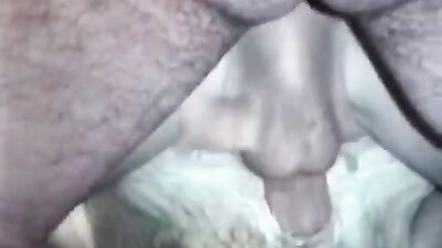 Art of zoo porn: dog i gril sex