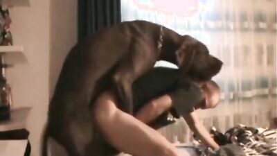 Bestiality porn: granny animal sex