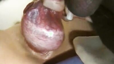 Bestiality porno: glamur girl webka dog shoym video