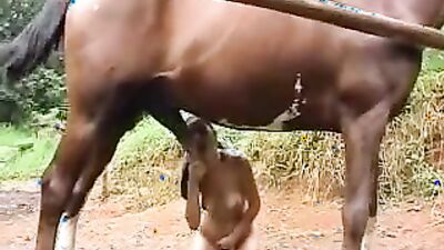 Zoophilia porn: girls fucking animal sex