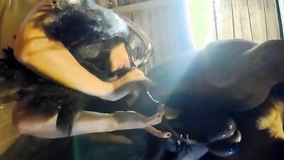 Sex animal's: breastfeeding bestiality porn
