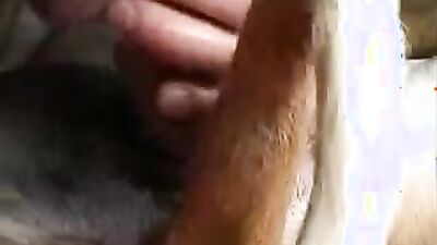 Bestiali comics: zoo porn and human