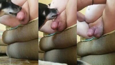 Dog sex girl: bestiality girls