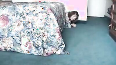 Dog girl anal: evalina bestiality