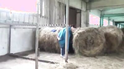 Zoo porno video: dog sitter dog porn