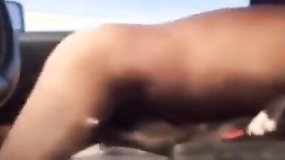 Bestiality: shantal zoo porn