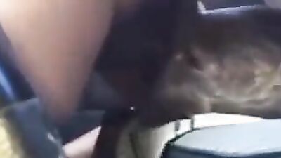 Bestiality: shantal zoo porn