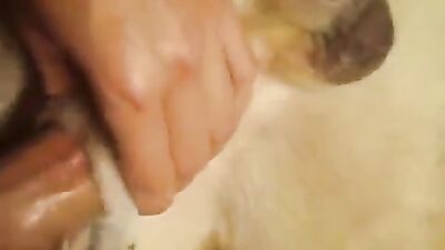 New zoo porn: dog day sex