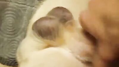 New zoo porn: dog day sex