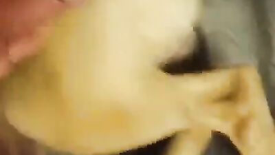 New zoo porn: dog day sex