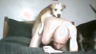 Bestiality sex: bestiality sex video porn