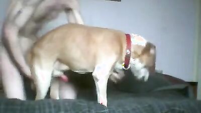 Bestiality sex: bestiality sex video porn