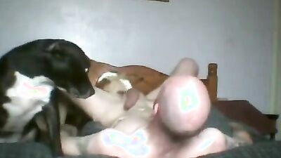 Bestiality sex: bestiality sex video porn