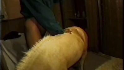 Dog girl anal: art of zoo new porno