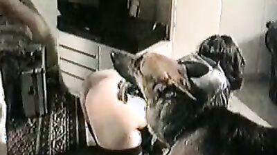 Dog girl porn: bestiality zoo sex taboo