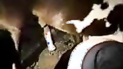 Bestiality video: sex dog like