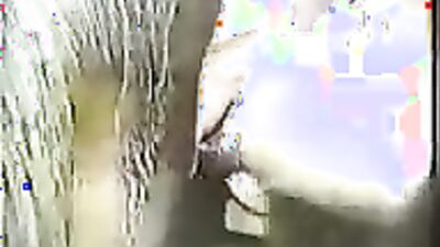 Bestiality video: sex dog like