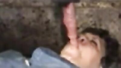Sex animal's: sex dog style hard