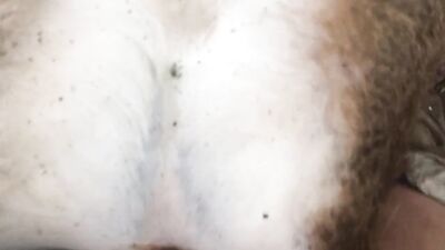 Porn bestiality: teen girl fuck dog homemade