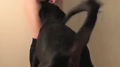 Dog's porn: zoo sex porn best