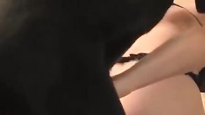 Dog's porn: zoo sex porn best