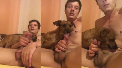 Dog girl: girl french kiss dog