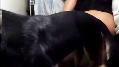 Dog girl play: zoo anime 3d porn