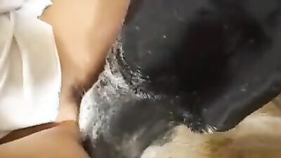 Zoo porn girls: dog kissing porn