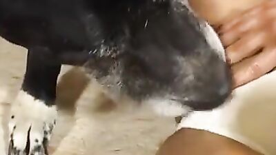 Zoo porn girls: dog kissing porn