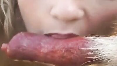 Animal sex: dog porn sluts