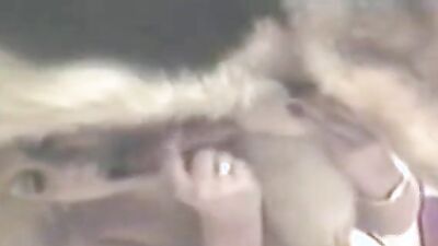 Zoo porn: dog dildo sex