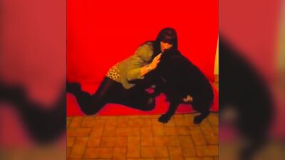 Dog fuck girls fucking: horse bestiality 1080p