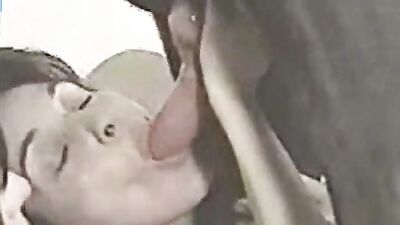 Dog fuck girl: best hot porno girls ft animals