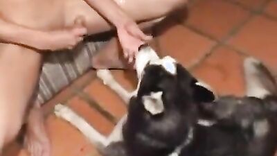 Zoo video: dog fuck girl 3d xxx