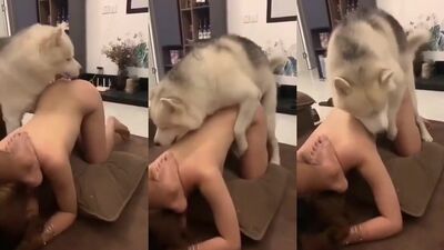 Bestiality porno: zoo grannies porn