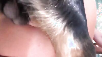 Bestiality video: mimi dog girl 18