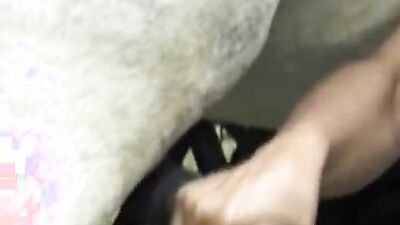 Dog sex porn: comics dog fuck girl